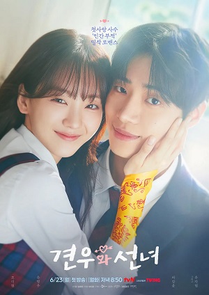 Ngưu Lang Chức Nữ Head Over Heels Vietsub – HD Hàn Quốc