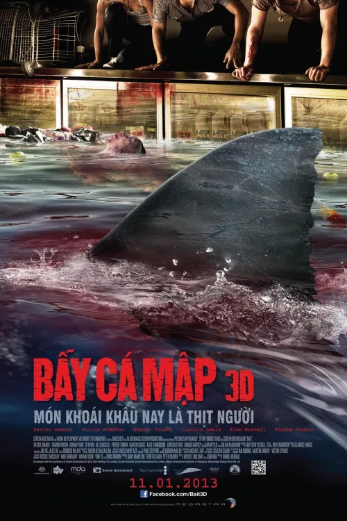 Phim Bẫy Cá Mập