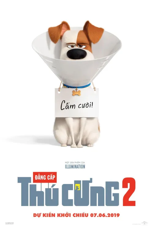 Phim Đẳng Cấp Thú Cưng 2